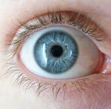 ojos-azules.jpg