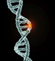 Genetički determinizam ili uloga gena u našem telu - Dr. Bruce Lipton